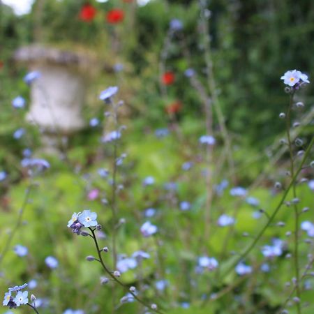 Le Gite Du Chene Rouvre Corbeil-Cerf Eksteriør billede